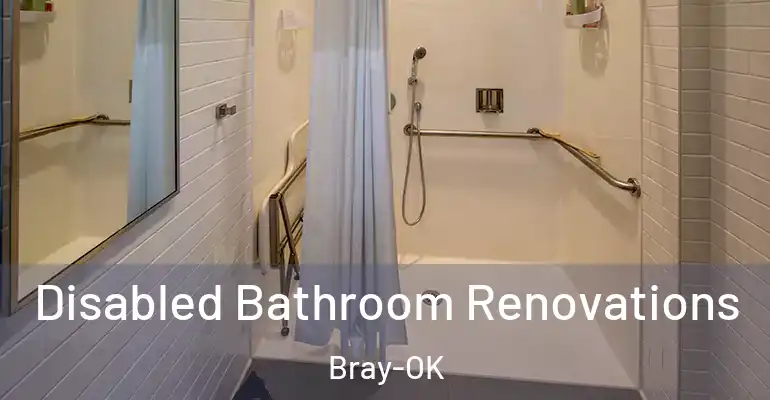 inner Bathroom imggen Disabled Bathroom Renovations Bray-OK