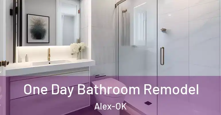 inner Bathroom imggen One Day Bathroom Remodel Alex-OK