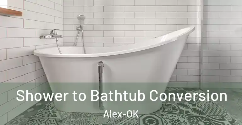 inner Bathroom imggen Shower to Bathtub Conversion Alex-OK