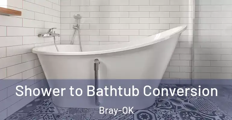 inner Bathroom imggen Shower to Bathtub Conversion Bray-OK