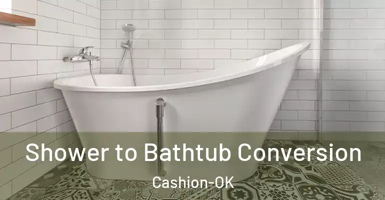 inner Bathroom imggen Shower to Bathtub Conversion Cashion-OK