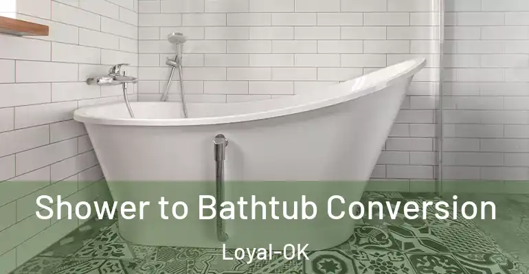 inner Bathroom imggen Shower to Bathtub Conversion Loyal-OK