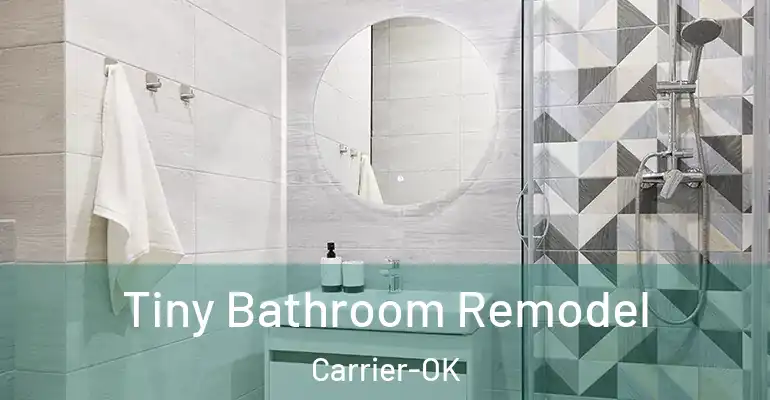inner Bathroom imggen Tiny Bathroom Remodel Carrier-OK