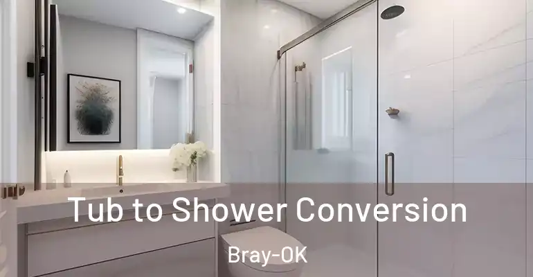 inner Bathroom imggen Tub to Shower Conversion Bray-OK