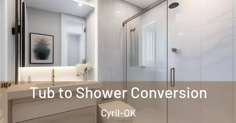 inner Bathroom imggen Tub to Shower Conversion Cyril-OK
