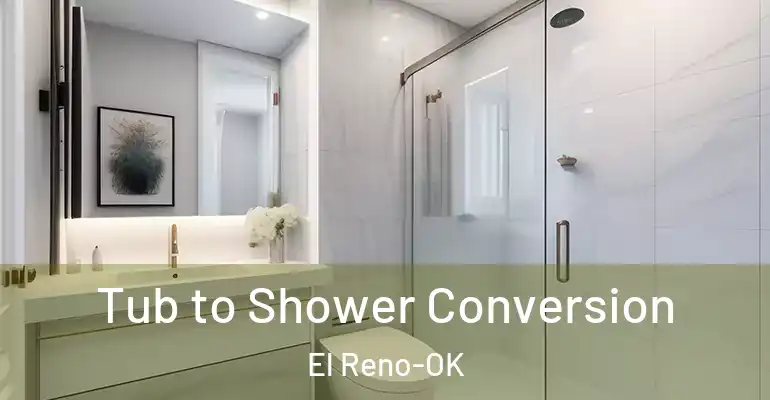 inner Bathroom imggen Tub to Shower Conversion El Reno-OK