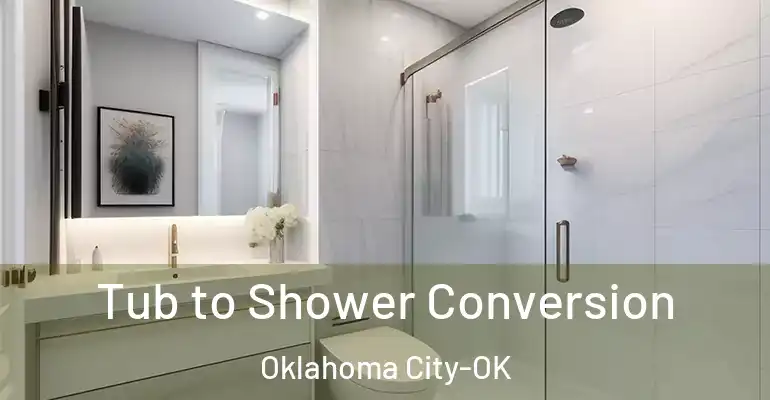 inner Bathroom imggen Tub to Shower Conversion Oklahoma City-OK